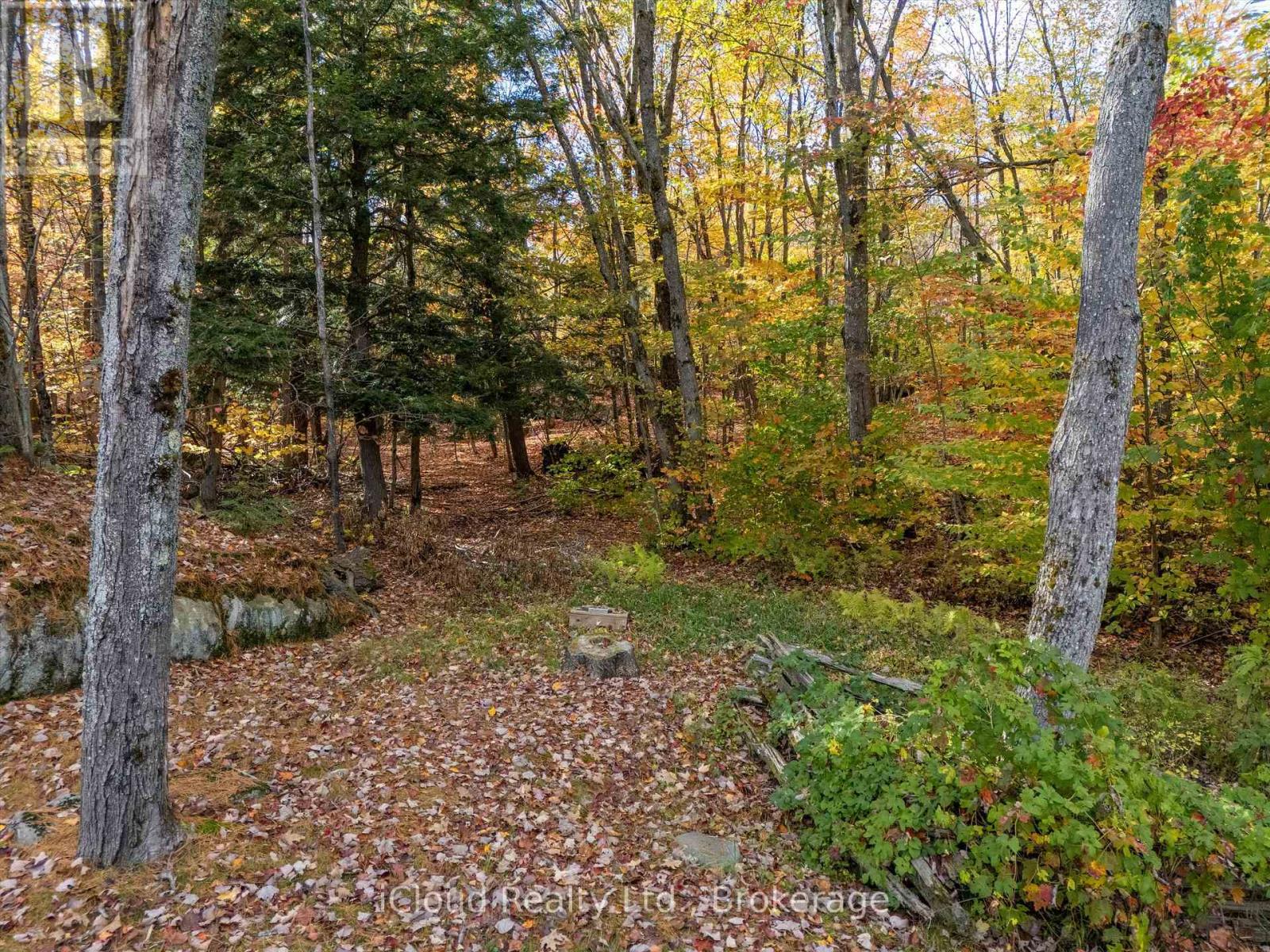 6 SPRINGHILL ROAD, McKellar, Ontario, P0G1C0 — Photo 30