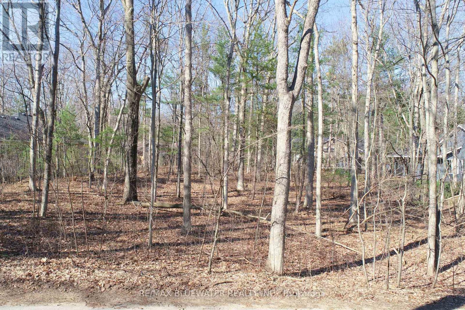 10296 GRAND OAKS DRIVE, Lambton Shores (Grand Bend), Ontario, N0M1T0 — Photo 11