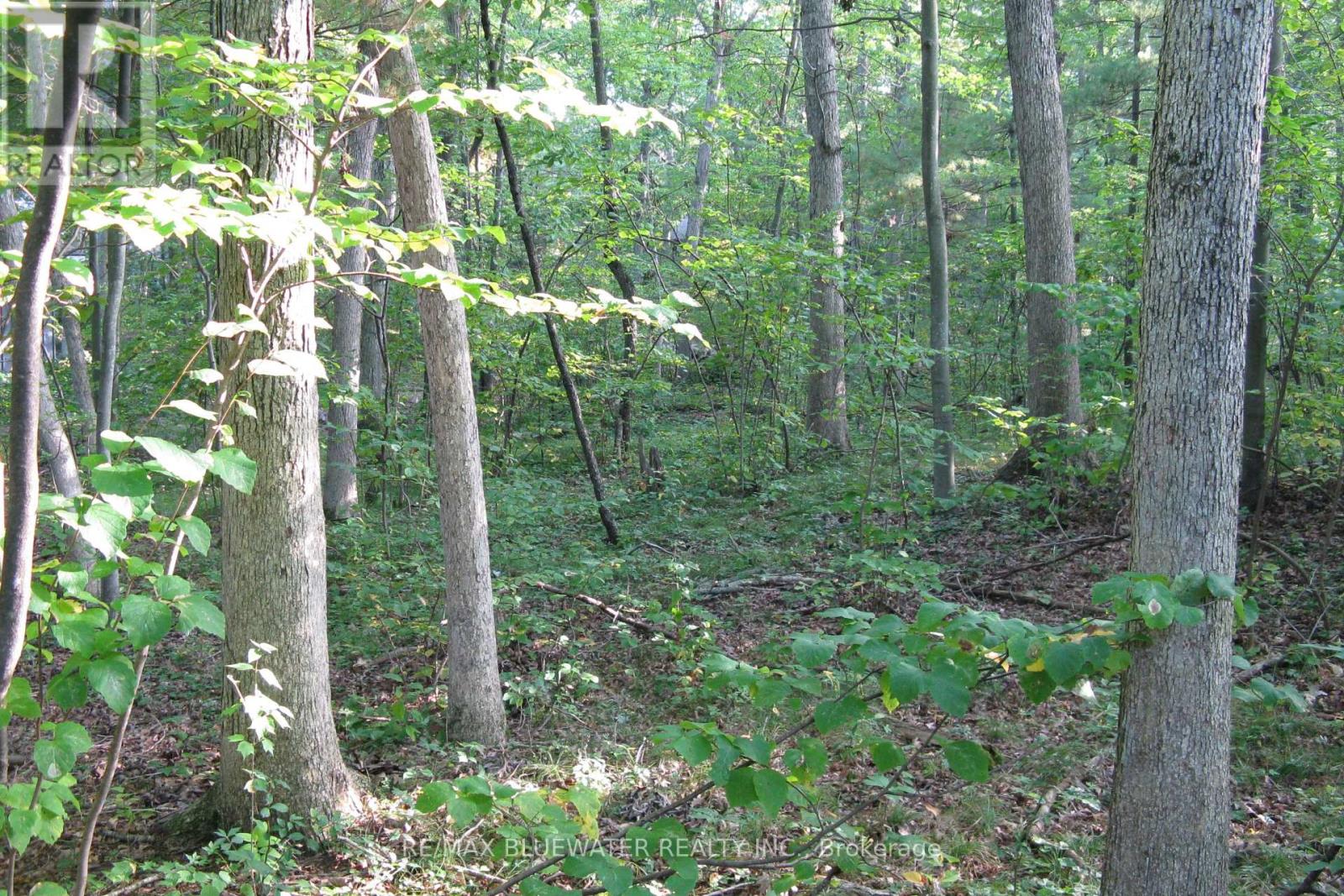 10296 GRAND OAKS DRIVE, Lambton Shores (Grand Bend), Ontario, N0M1T0 — Photo 13