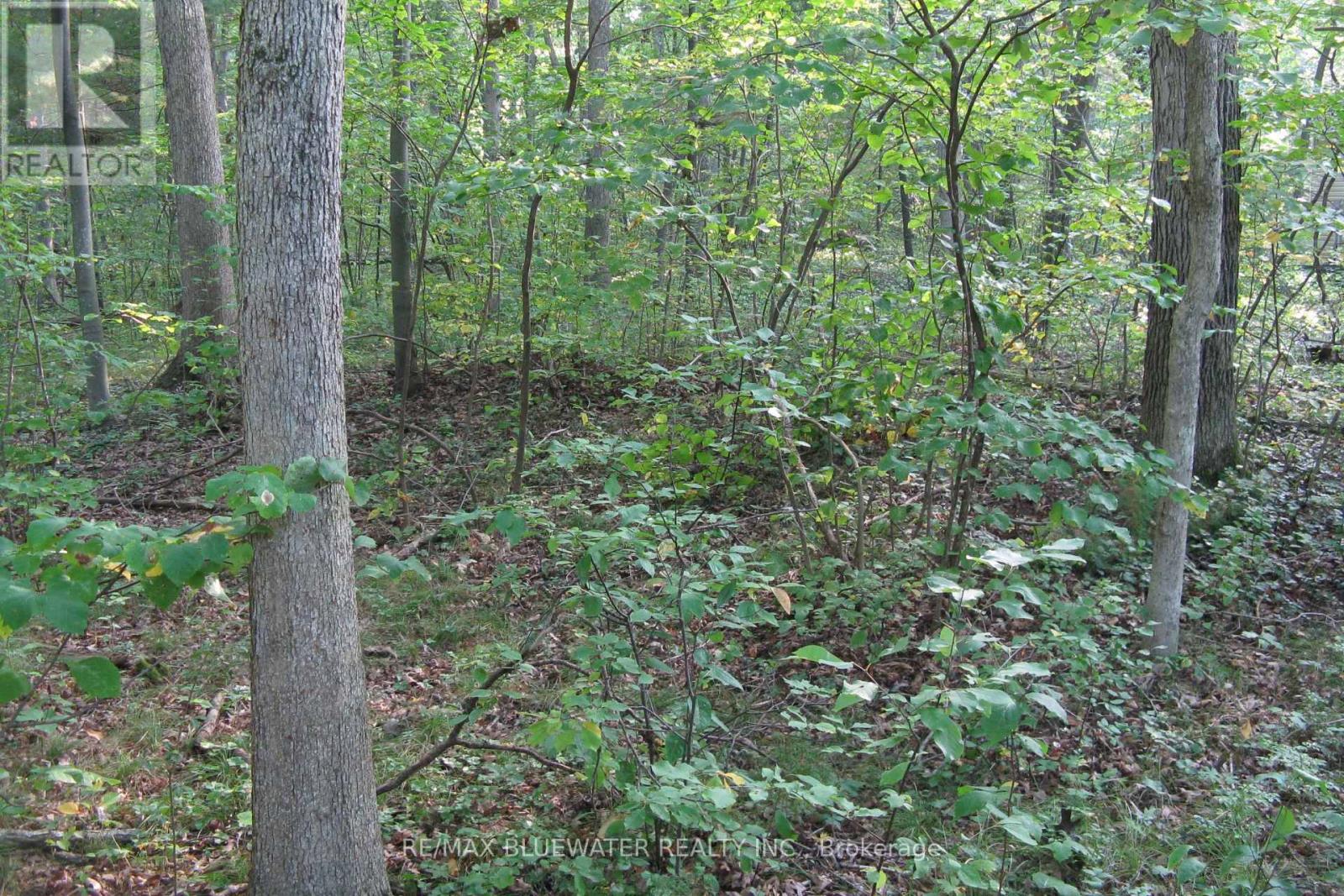 10296 GRAND OAKS DRIVE, Lambton Shores (Grand Bend), Ontario, N0M1T0 — Photo 14