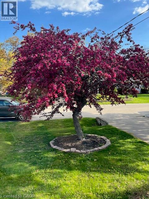 35 VIKING Drive, Grimsby, Ontario, L3M3V2 — Photo 22