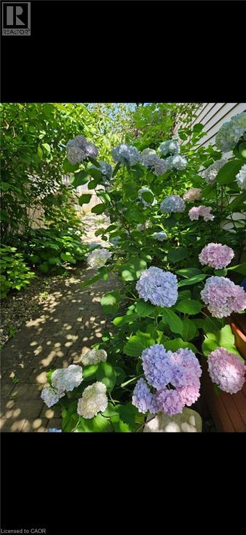 2648 CAVENDISH Drive, Burlington, Ontario, L7P3V7 — Photo 35