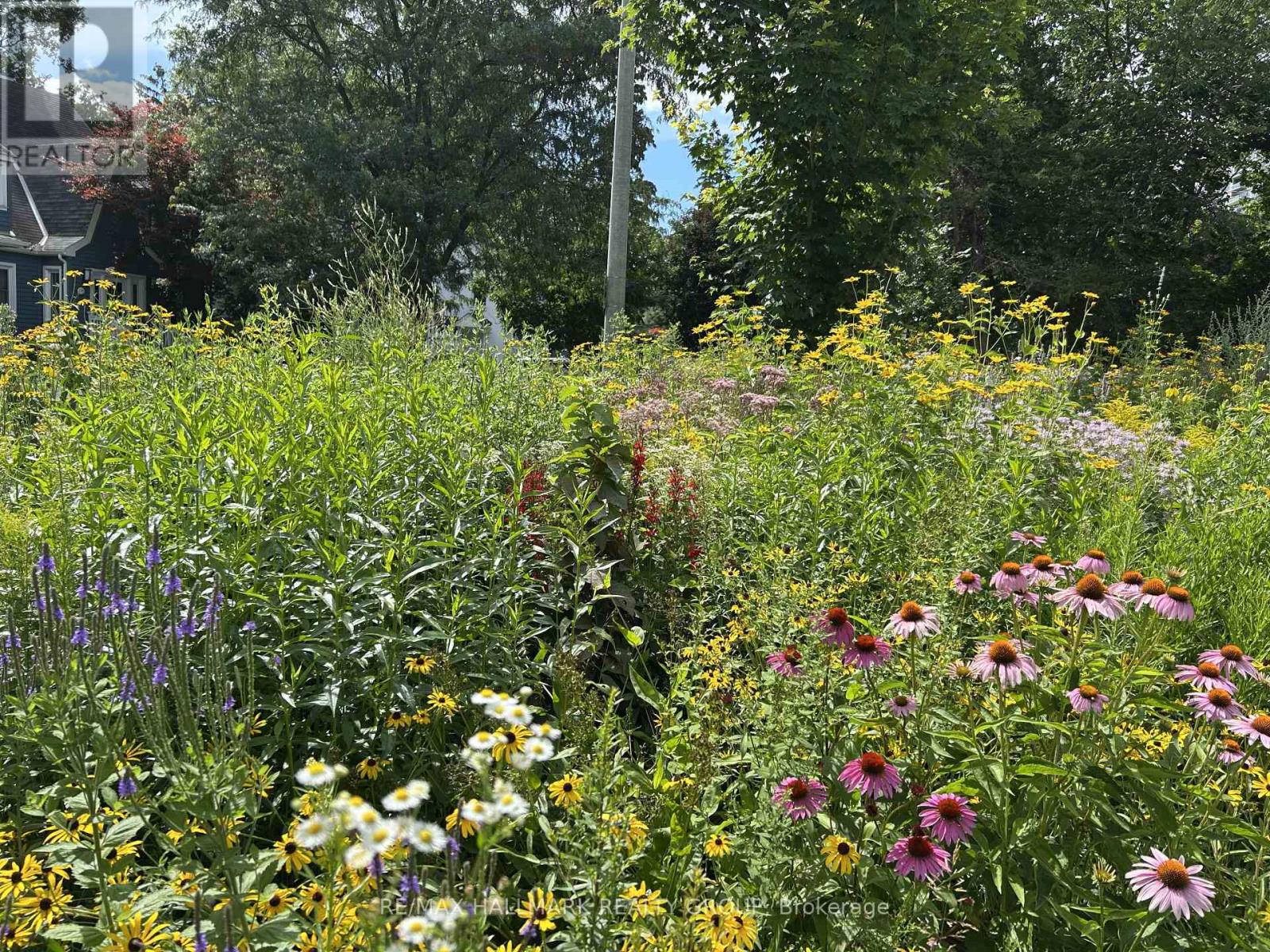 229 GREENSWAY AVENUE, Ottawa, Ontario, K1L7V3 — Photo 27