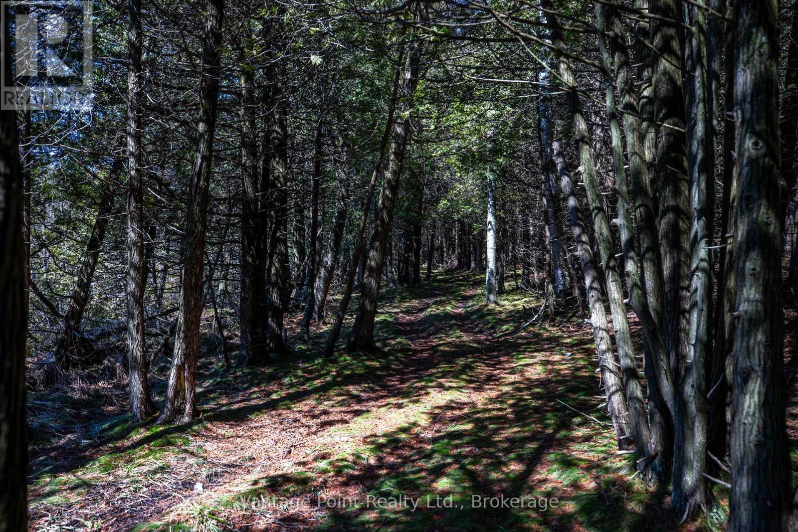 716612 WEST BACK LINE, Chatsworth, Ontario, N0H1R0 — Photo 7