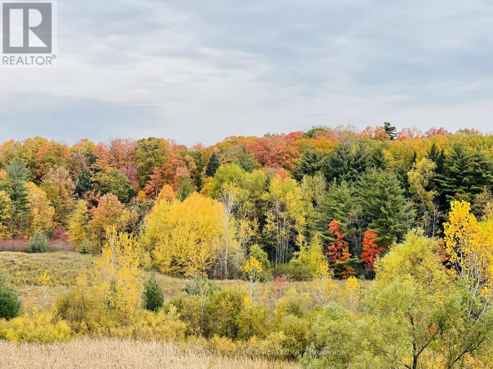 #48 - 261 WOODBINE AVENUE, Kitchener, Ontario, N2R0S7 — Photo 48