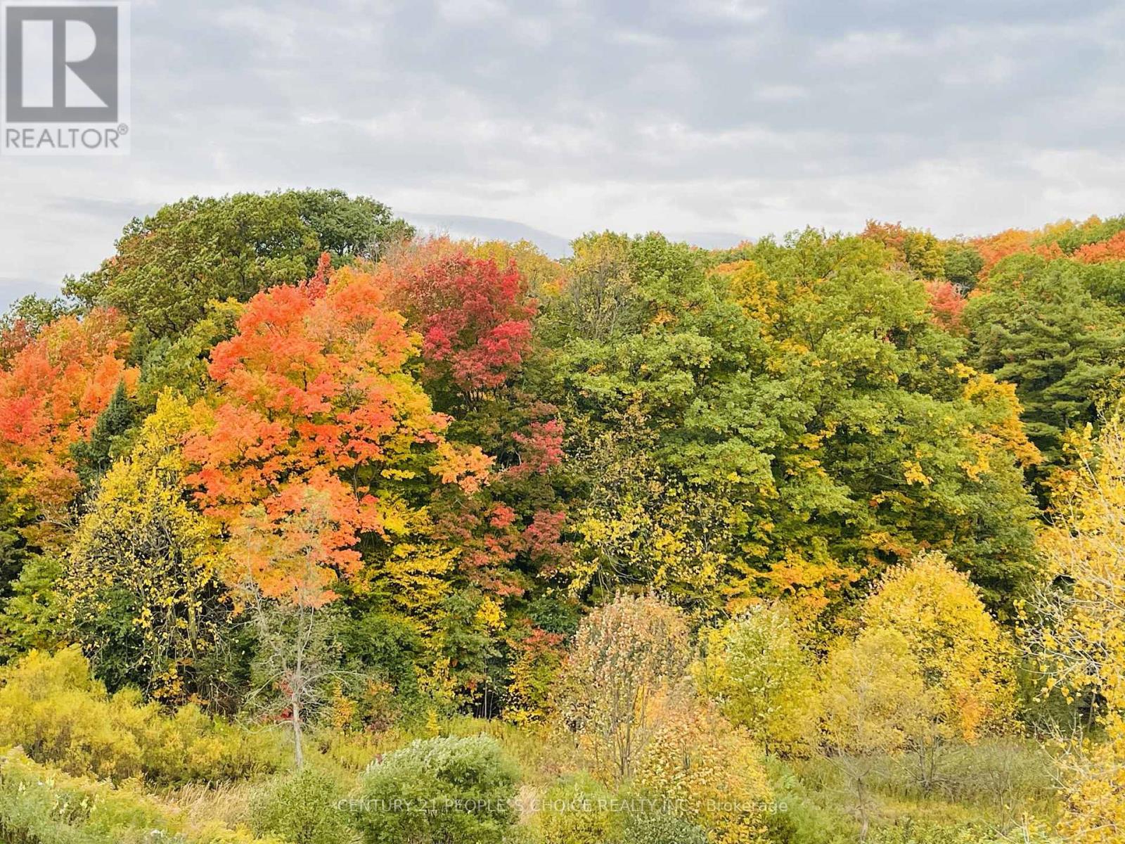 #48 - 261 WOODBINE AVENUE, Kitchener, Ontario, N2R0S7 — Photo 49