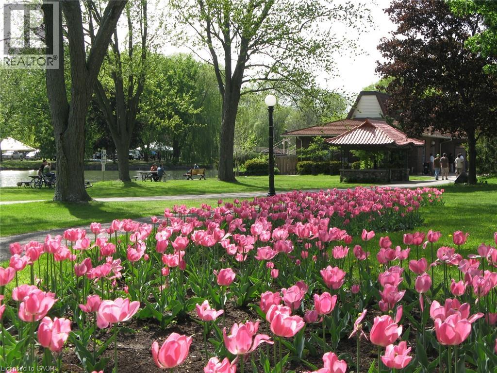 18 THERESA Street, Kitchener, Ontario, N2G1M1 — Photo 45