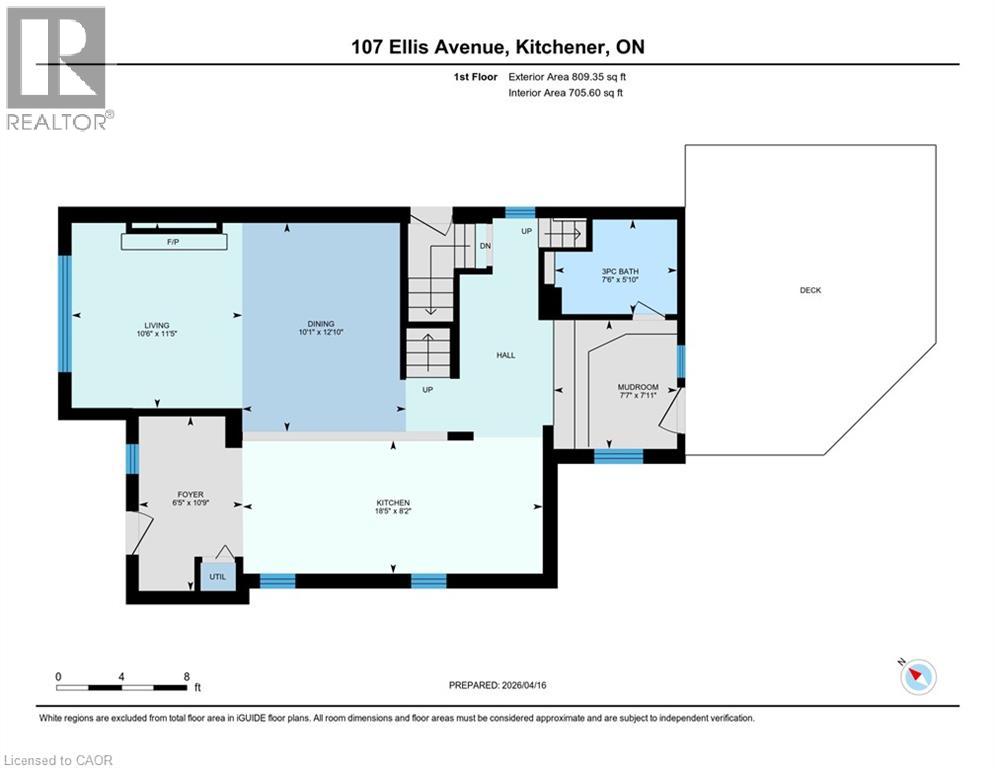 107 ELLIS Avenue, Kitchener, Ontario, N2H4G8 — Photo 46