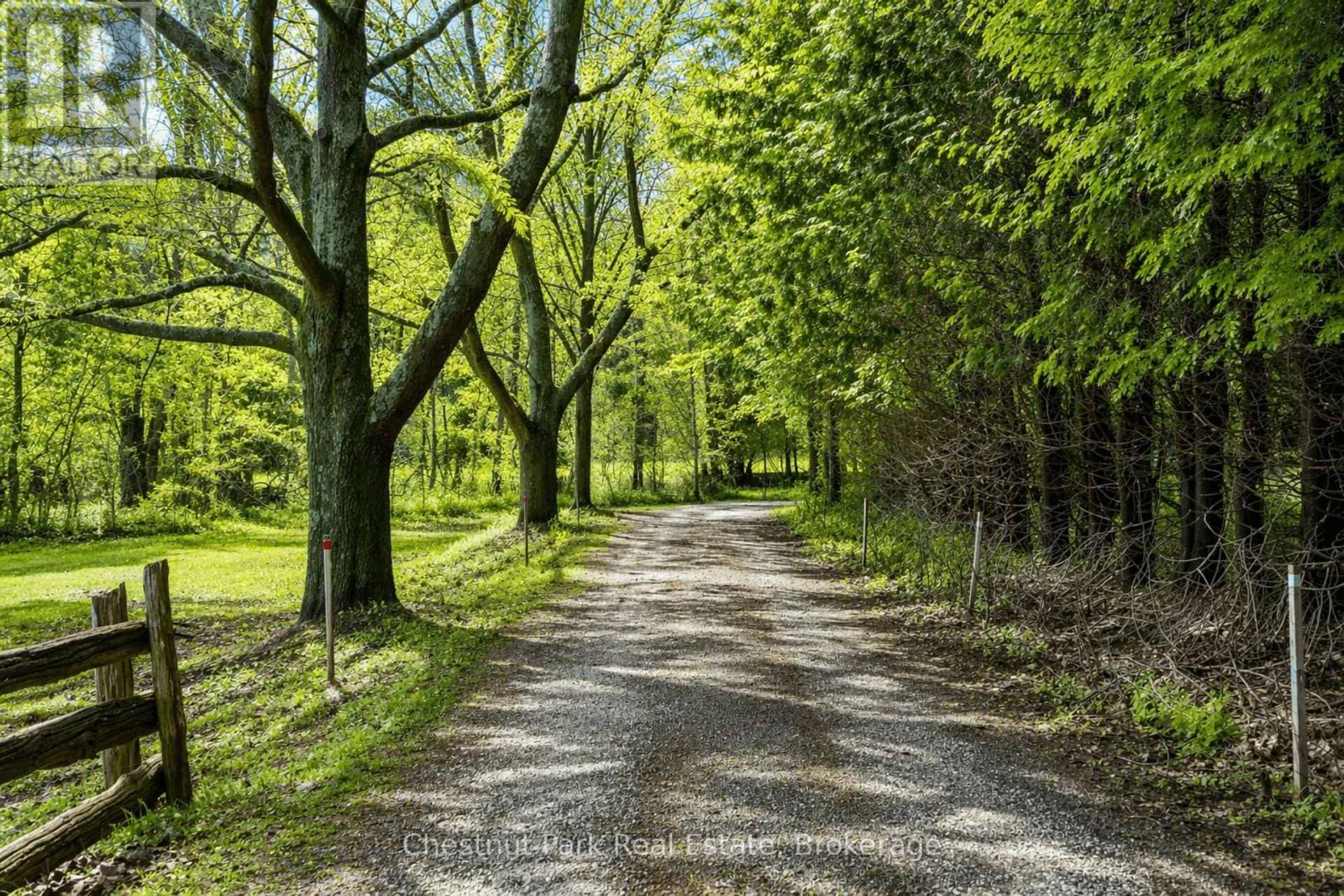 8943 COUNTY ROAD 9, Clearview, Ontario, L0M1G0 — Photo 4