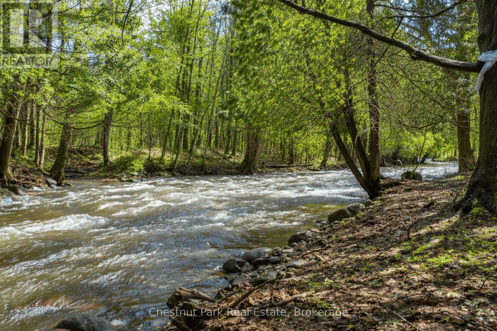 8943 COUNTY ROAD 9, Clearview, Ontario, L0M1G0 — Photo 5