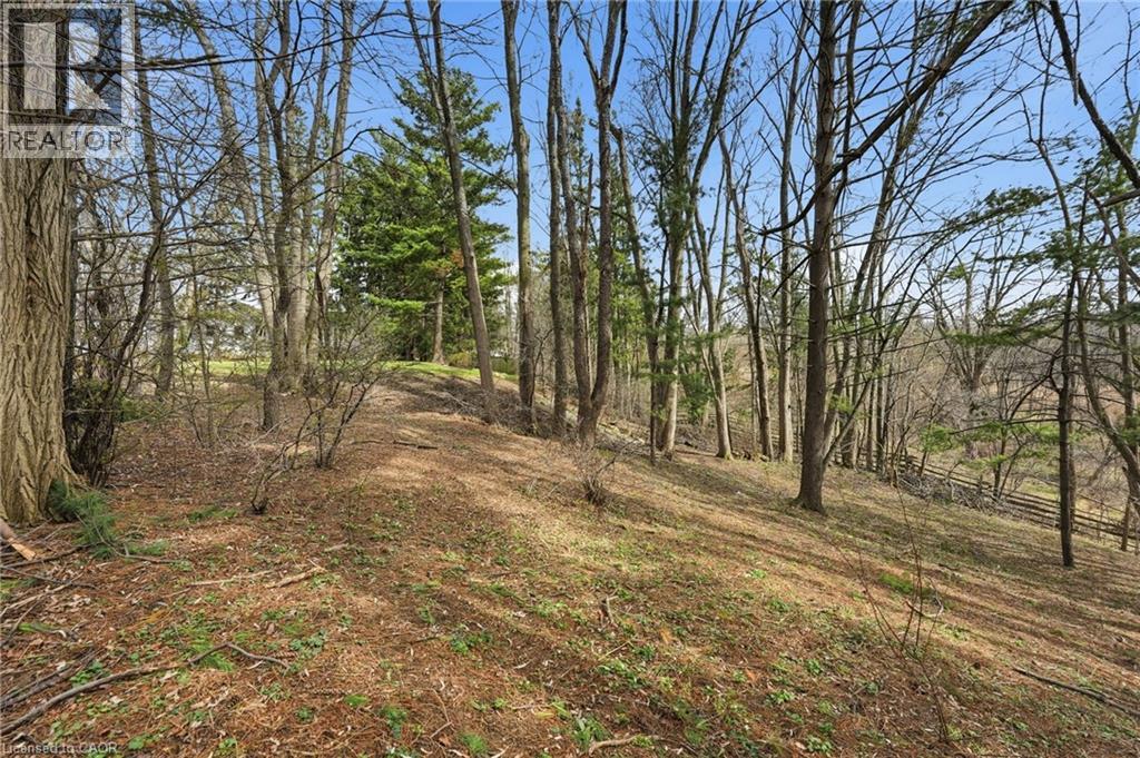 1266 SCENIC Drive, Ancaster, Ontario, L9K1J6 — Photo 43