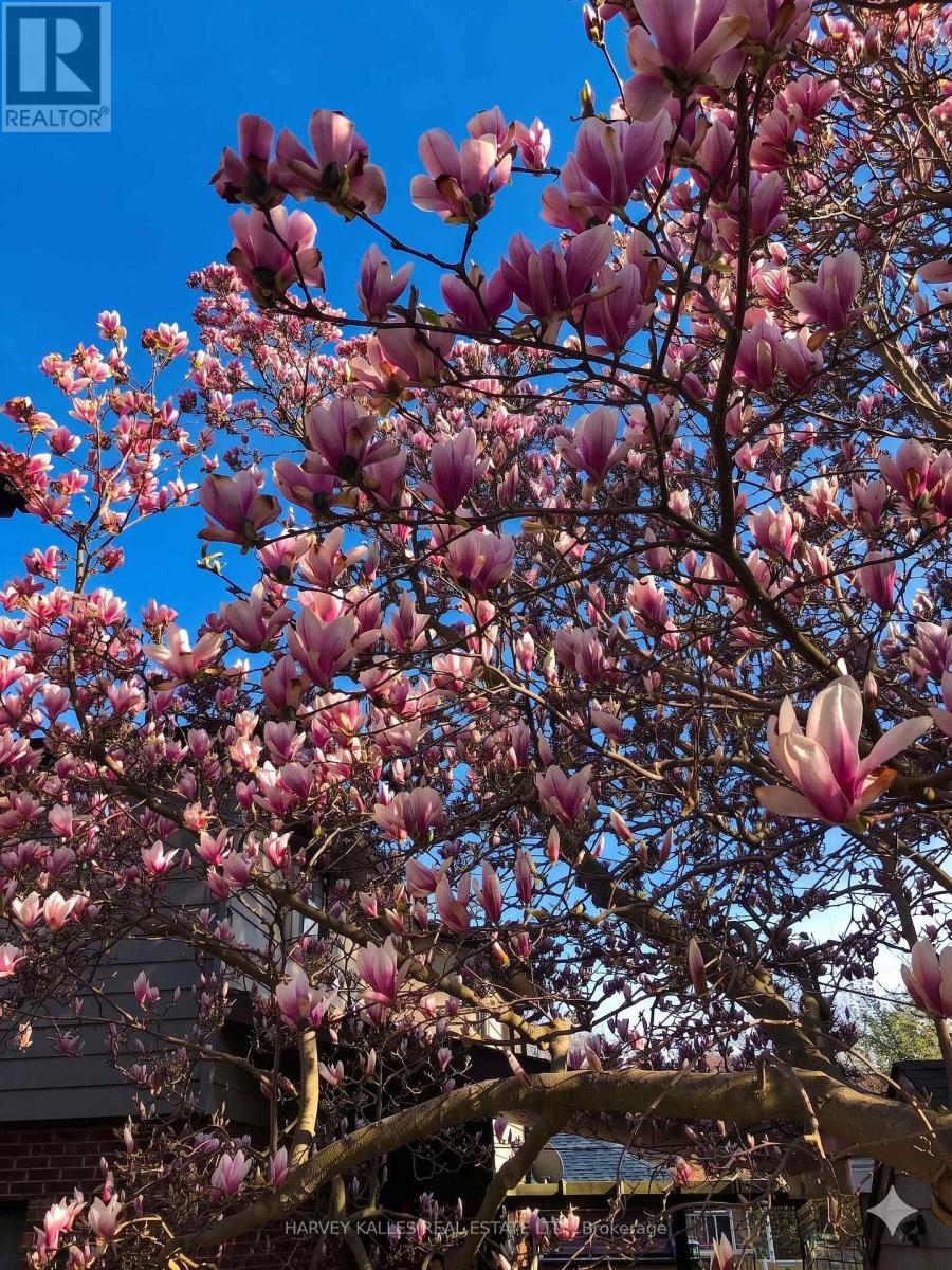 4 TWENTY THIRD STREET, Toronto (Long Branch), Ontario, M8V3M7 — Photo 27