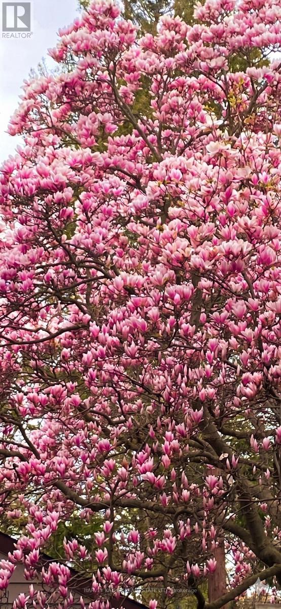 4 TWENTY THIRD STREET, Toronto (Long Branch), Ontario, M8V3M7 — Photo 28