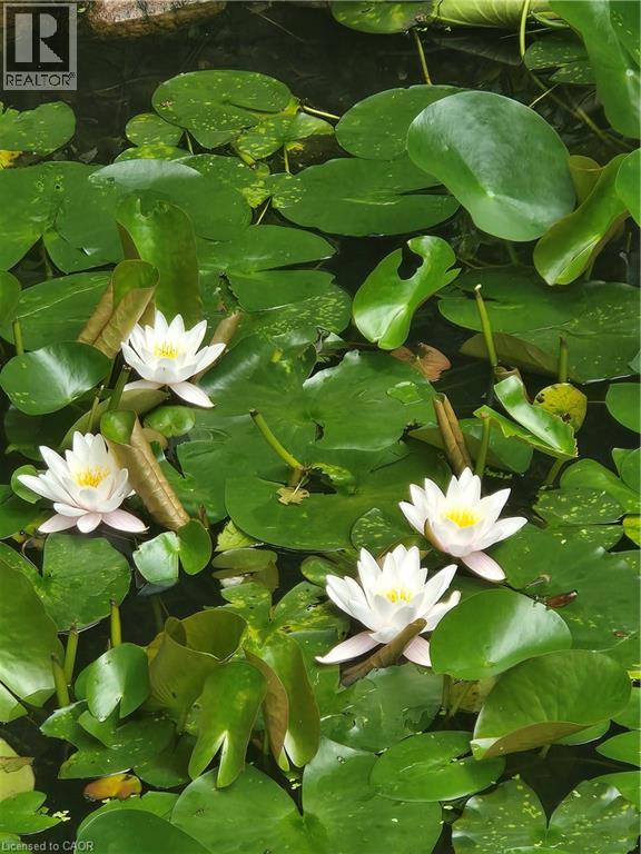 557 STILLWATER Crescent, Burlington, Ontario, L7T3M8 — Photo 26