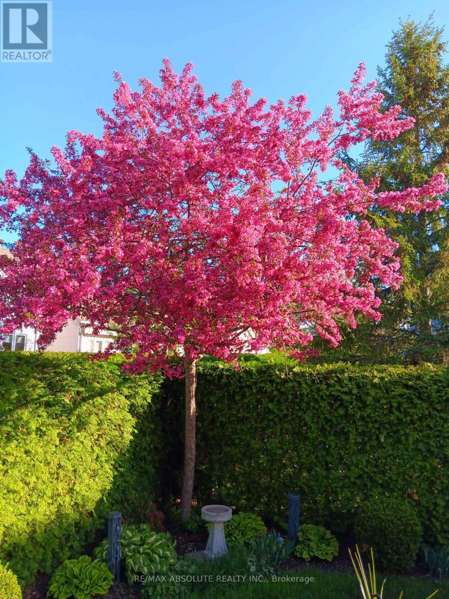 19 GOLDORA PRIVATE, Ottawa, Ontario, K2T1K8 — Photo 35