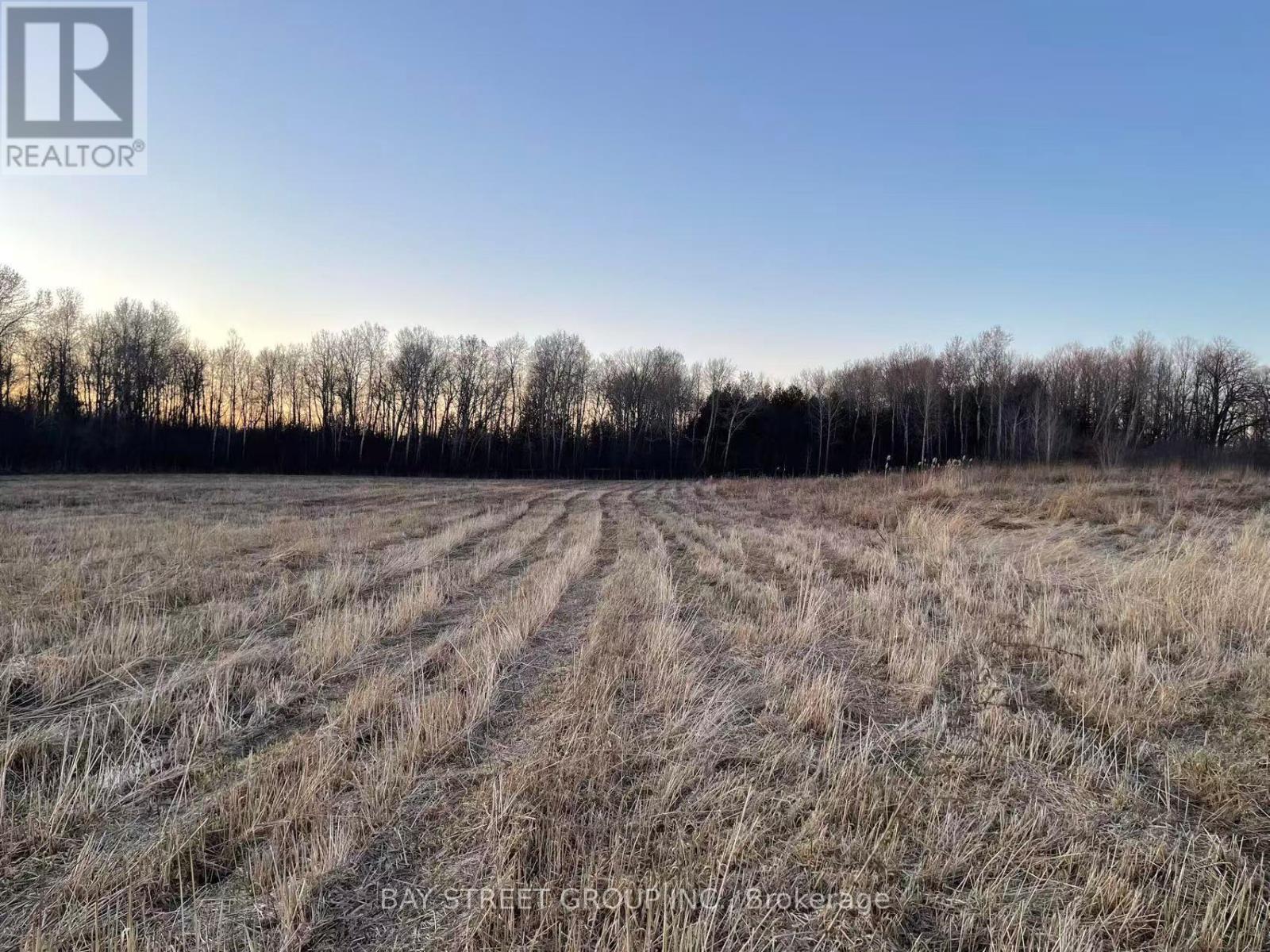 4870 ELGIN MILLS ROAD E, Markham, Ontario, L6C1L5 — Photo 4