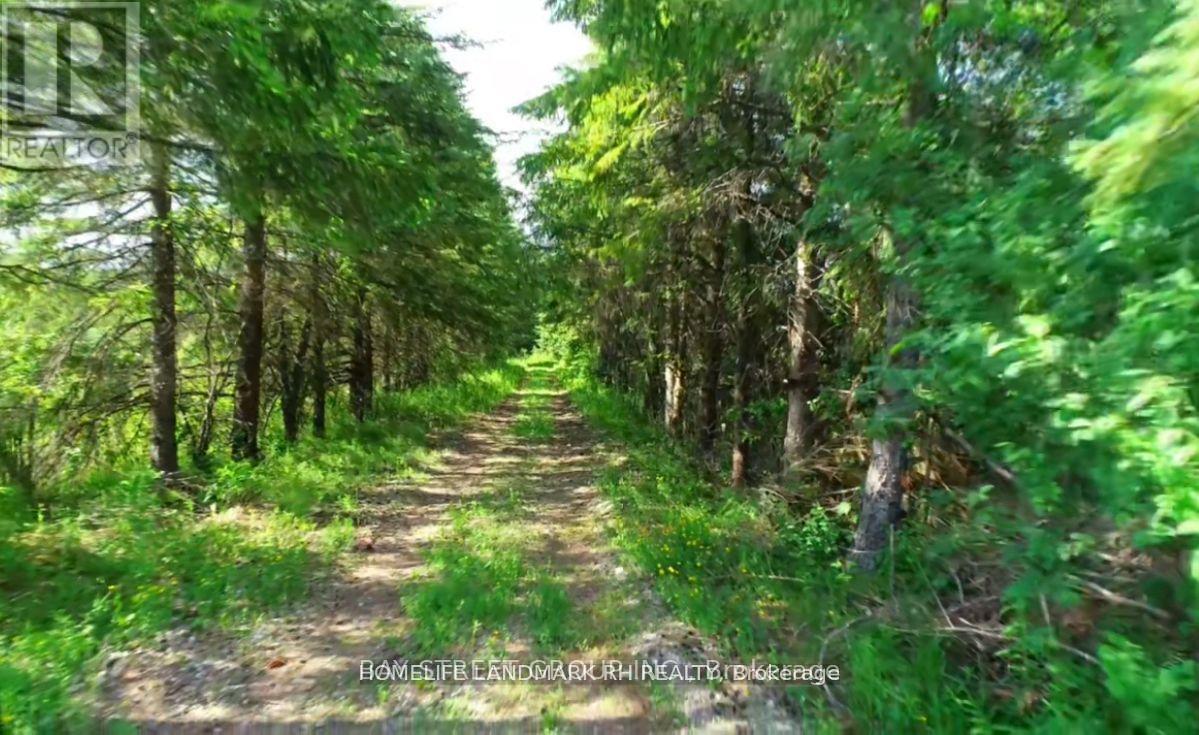 4870 ELGIN MILLS ROAD E, Markham, Ontario, L6C1L5 — Photo 6