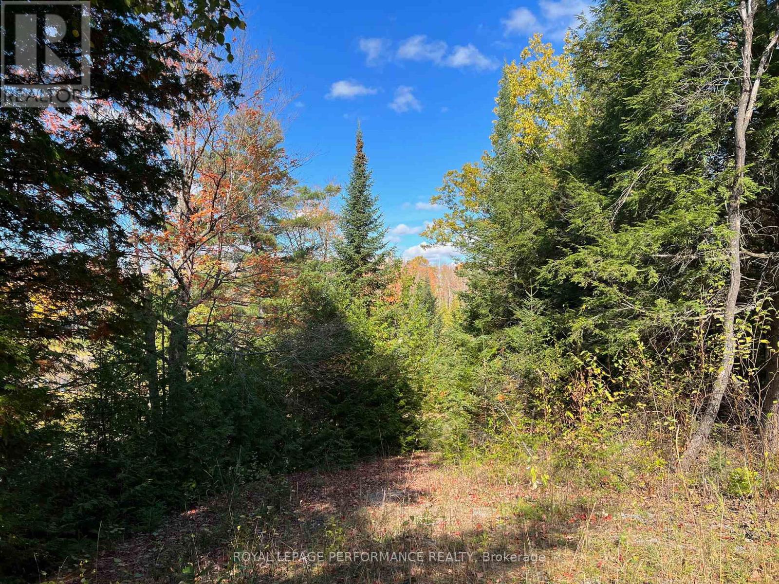 304 LACOURSE LANE, Lanark Highlands, Ontario, K0A3L0 — Photo 3