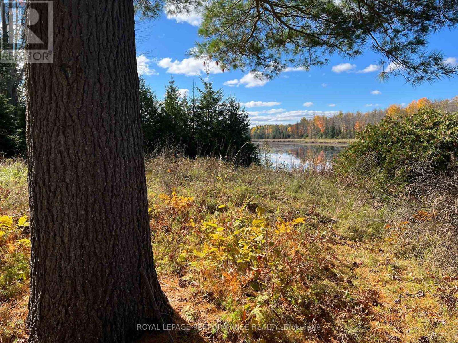 304 LACOURSE LANE, Lanark Highlands, Ontario, K0A3L0 — Photo 5