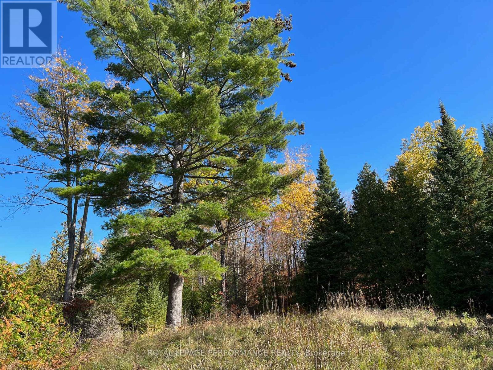 304 LACOURSE LANE, Lanark Highlands, Ontario, K0A3L0 — Photo 6