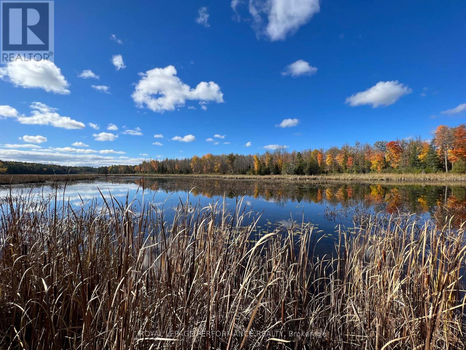 304 LACOURSE LANE, Lanark Highlands, Ontario, K0A3L0 — Photo 7