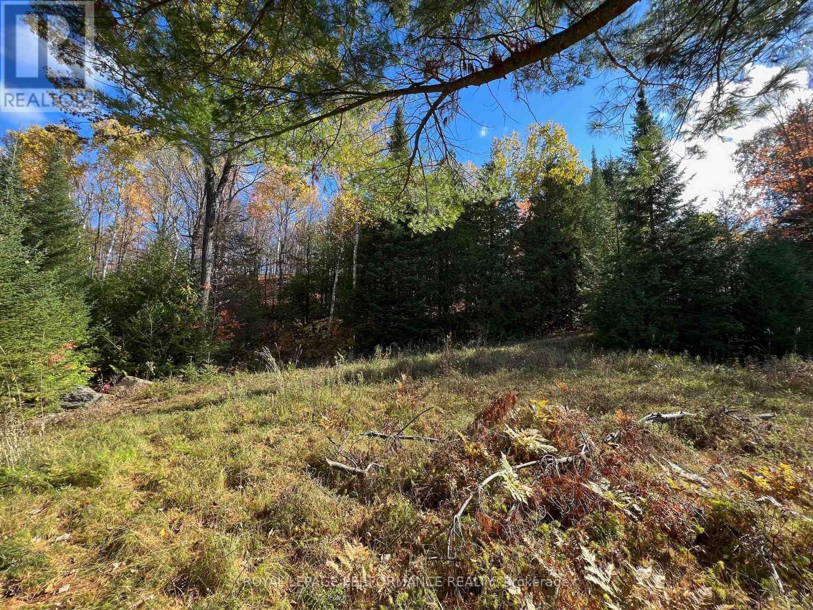 304 LACOURSE LANE, Lanark Highlands, Ontario, K0A3L0 — Photo 8