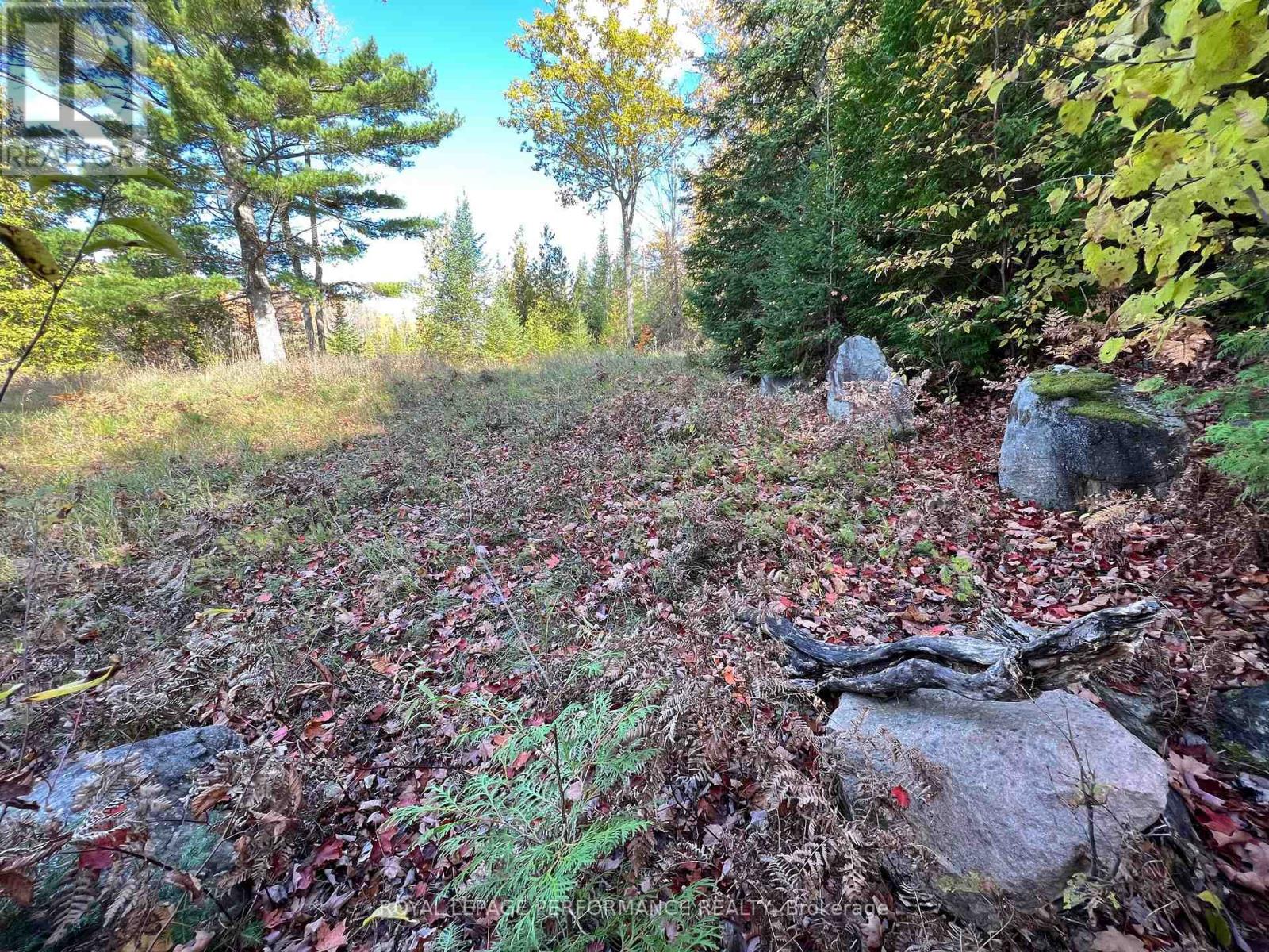 304 LACOURSE LANE, Lanark Highlands, Ontario, K0A3L0 — Photo 9