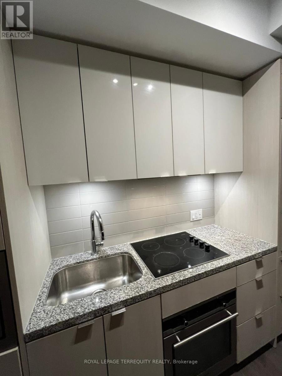 4012 - 115 BLUE JAYS WAY, Toronto (Waterfront Communities), Ontario, M5V0N4 — Photo 6