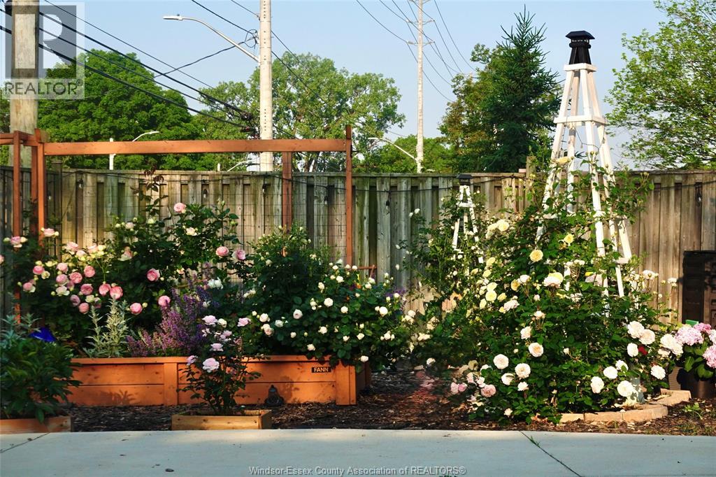 3795 ASKIN, Windsor, Ontario, N9E3K1 — Photo 3