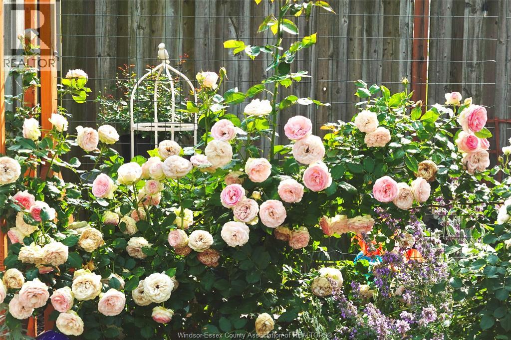 3795 ASKIN, Windsor, Ontario, N9E3K1 — Photo 6