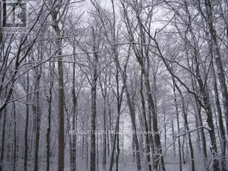 103 GLAZEBROOK CRESCENT, Cambridge, Ontario, N1T2H8 — Photo 31