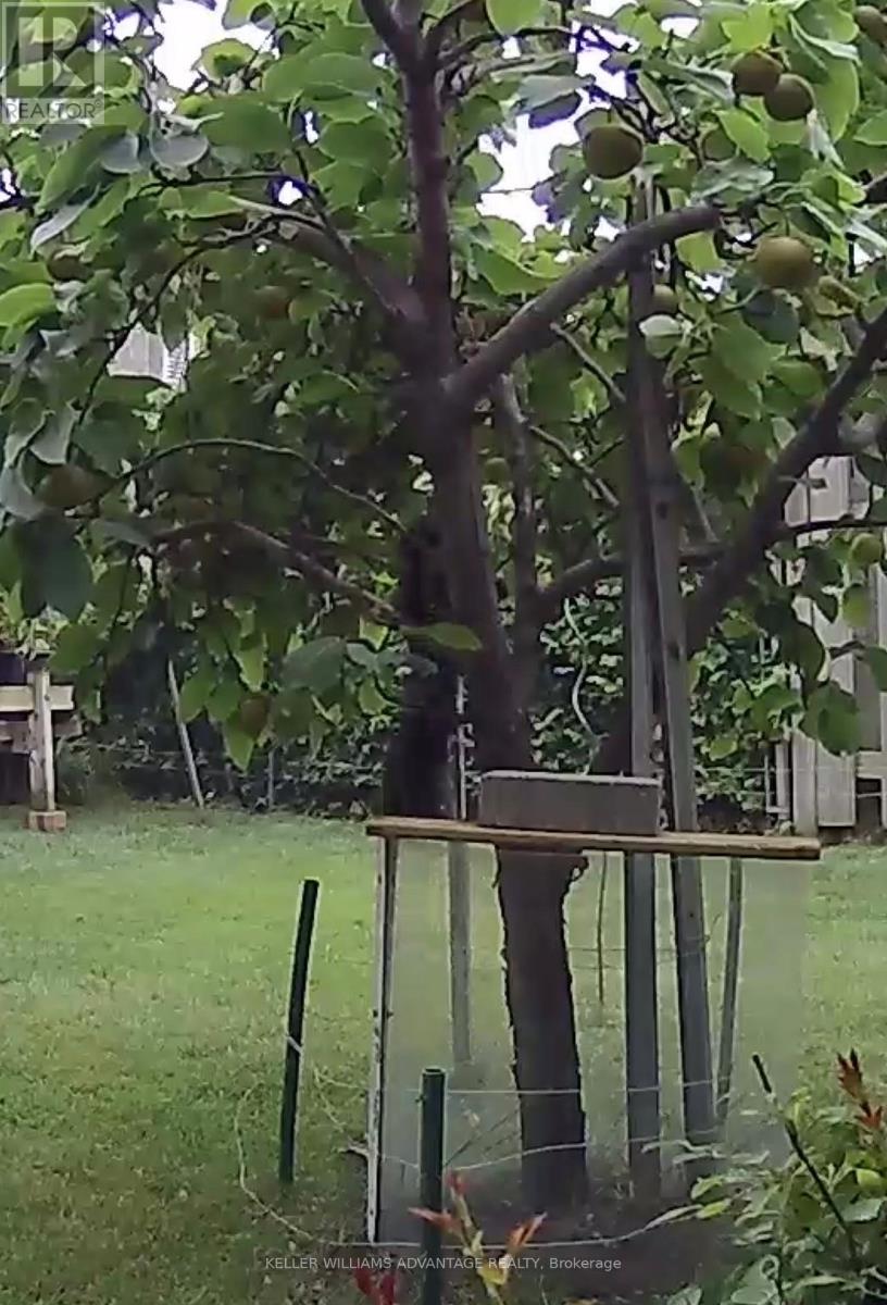 1188 WESTERDAM ROAD, Mississauga (Applewood), Ontario, L4Y2H4 — Photo 40