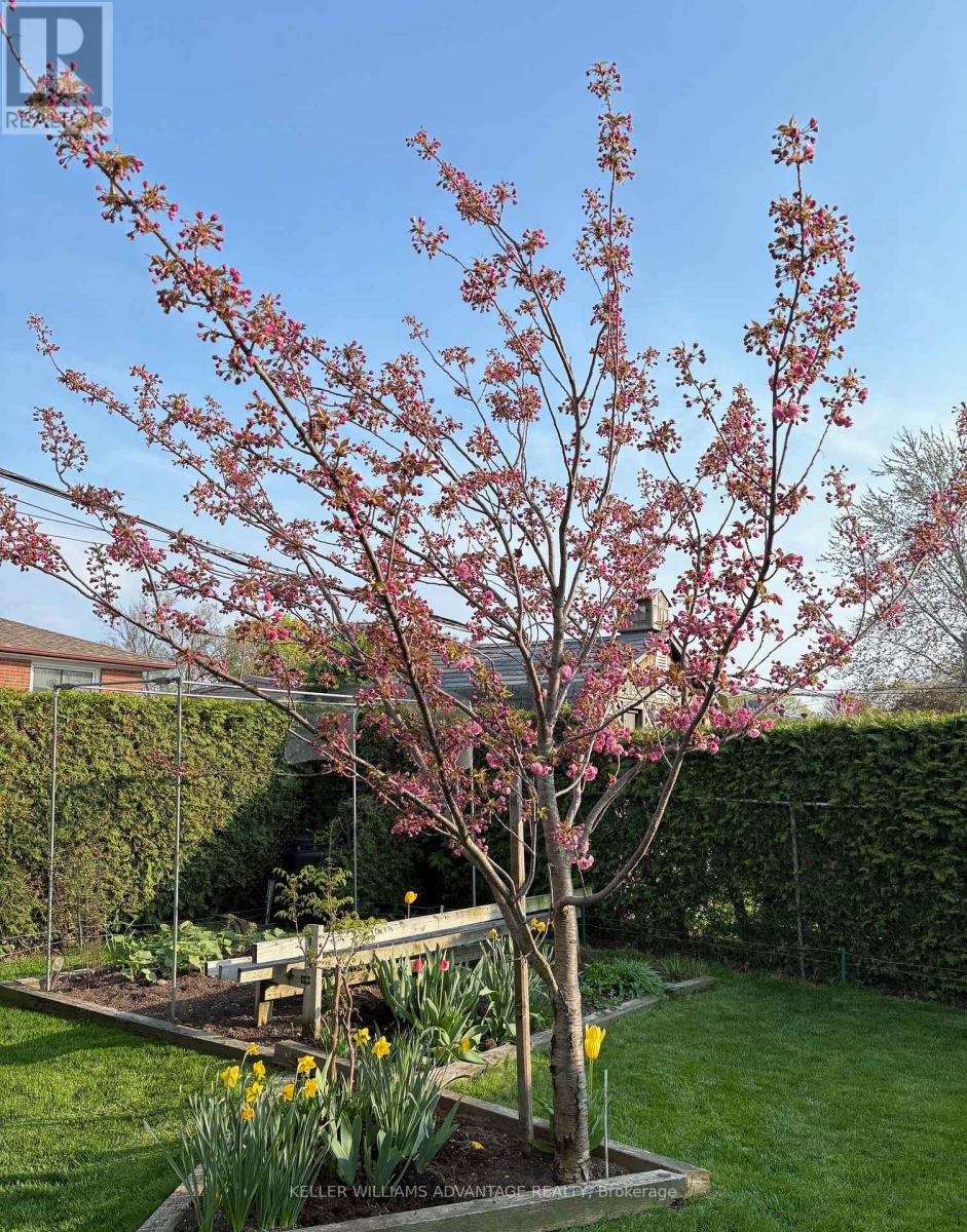 1188 WESTERDAM ROAD, Mississauga (Applewood), Ontario, L4Y2H4 — Photo 42