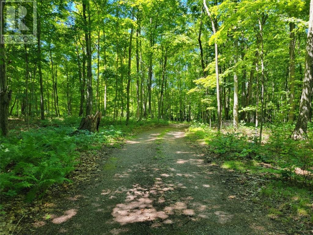 462 Maple Point Rd, Kagawong, Ontario, P0P1J0 — Photo 64
