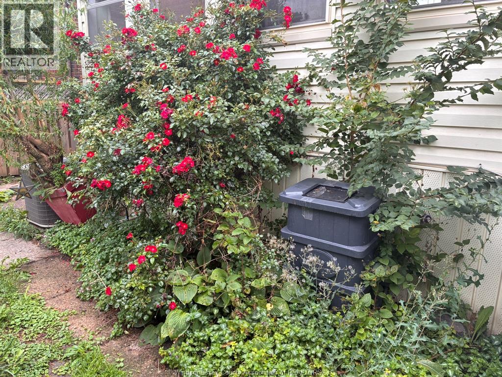 1232 JANETTE, Windsor, Ontario, N8X1Y6 — Photo 28