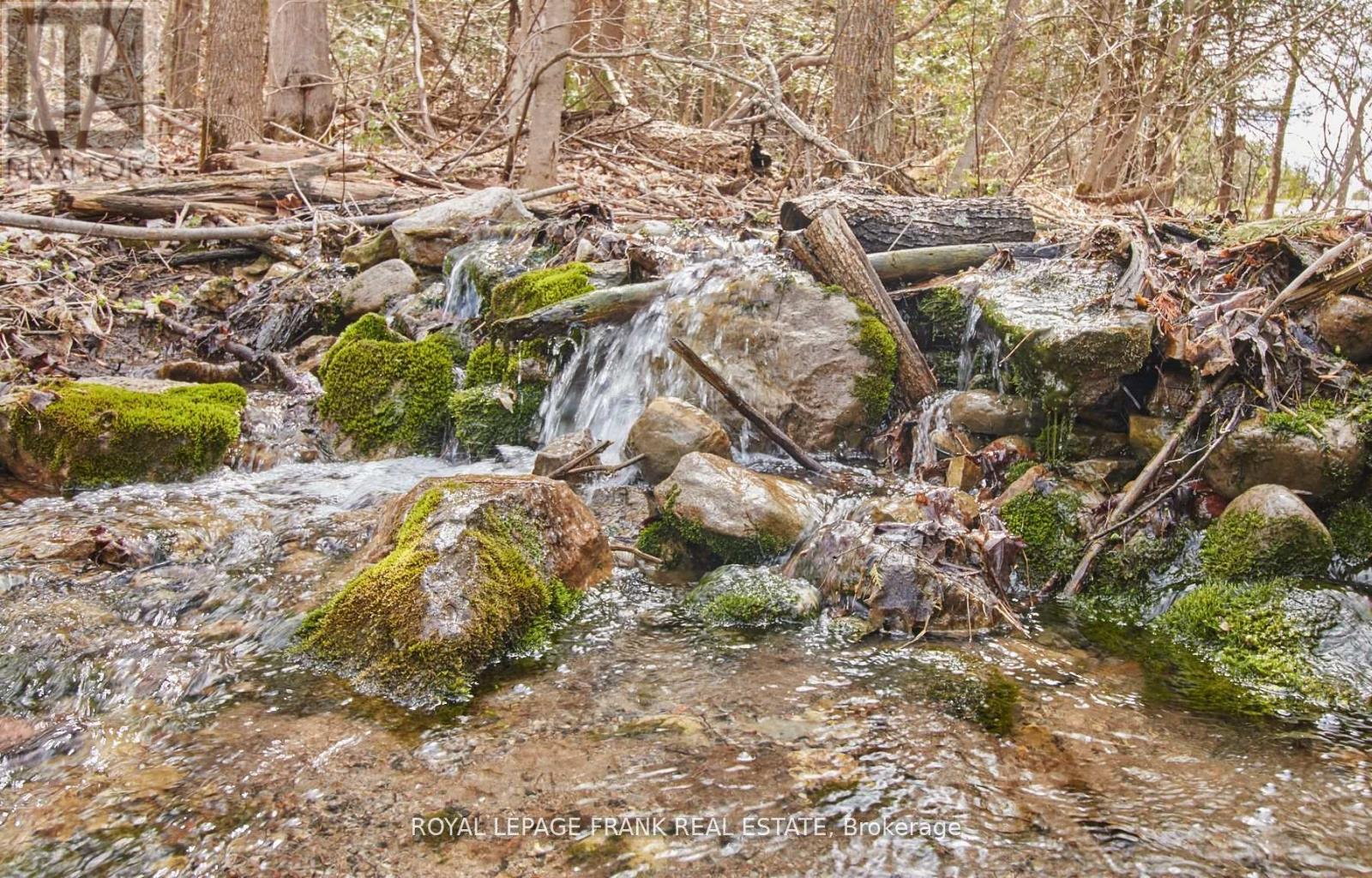 2269 MCCRACKEN'S LANDING ROAD, Douro-Dummer, Ontario, K0L2H0 — Photo 40