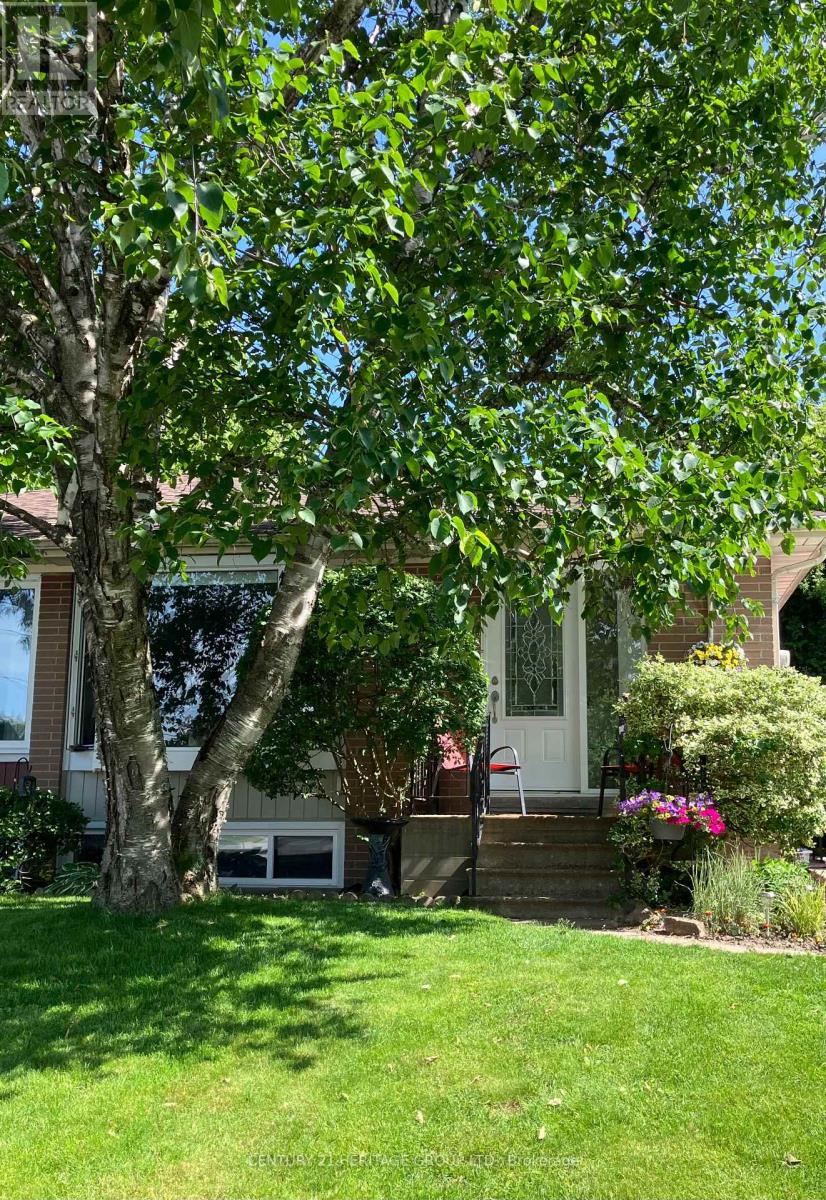 69 LINDSAY AVENUE, Newmarket (Bristol-London), Ontario, L3Y4N7 — Photo 35