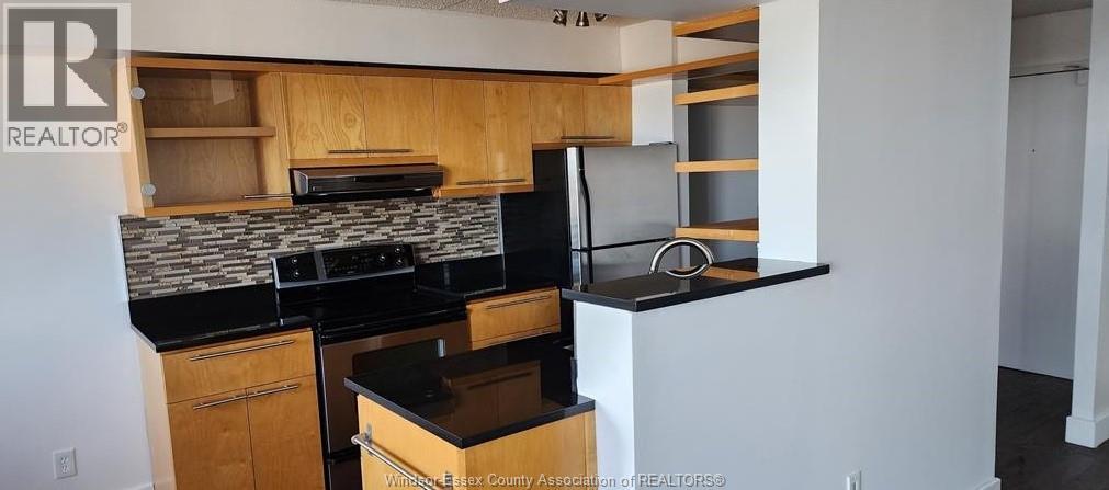 150 PARK Unit# 2412, Windsor, Ontario, N9A7A2 — Photo 10