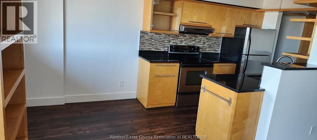 150 PARK Unit# 2412, Windsor, Ontario, N9A7A2 — Photo 6