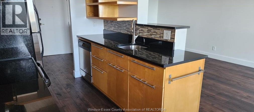 150 PARK Unit# 2412, Windsor, Ontario, N9A7A2 — Photo 7
