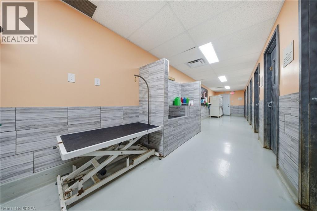 11 BURTCH Road, Mount Pleasant, Ontario, N0E1K0 — Photo 42