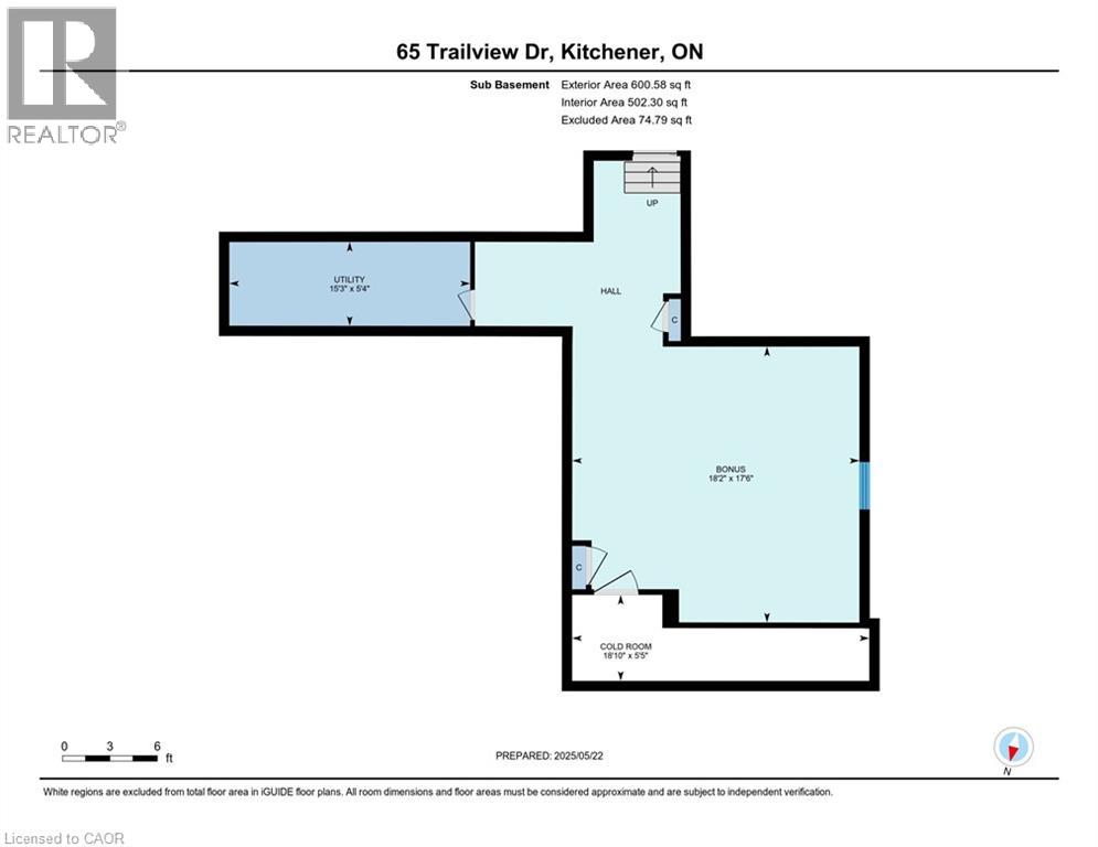 65 TRAILVIEW Drive, Kitchener, Ontario, N2N1P7 — Photo 50