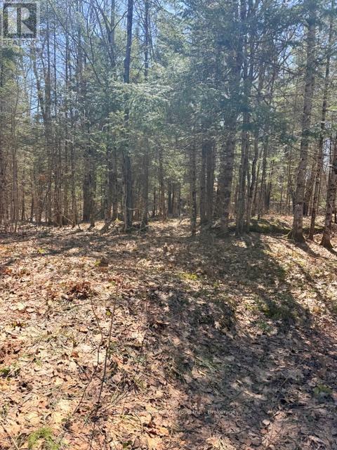 1464 BUCKSLIDE ROAD, Algonquin Highlands (Stanhope), Ontario, K0M1S0 — Photo 4