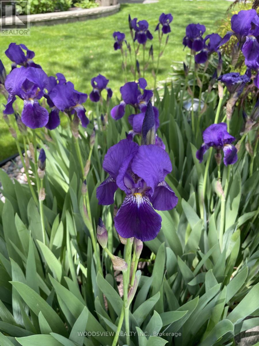 899 VOYAGER AVENUE, Pickering (Dunbarton), Ontario, L1V7G2 — Photo 42