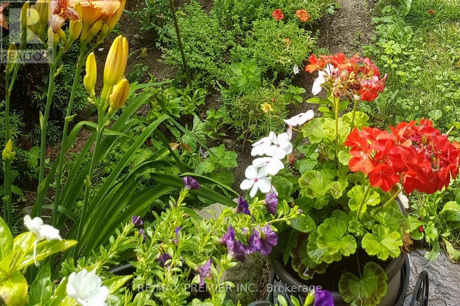 9 TILDEN CRESCENT, Toronto (Humber Heights), Ontario, M9P1V6 — Photo 48