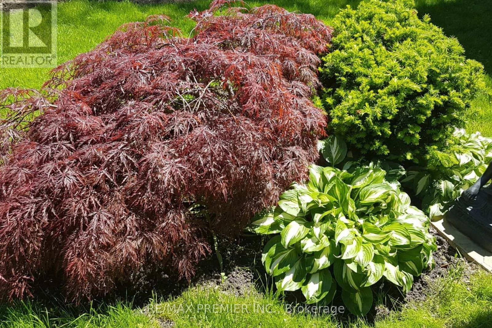 9 TILDEN CRESCENT, Toronto (Humber Heights), Ontario, M9P1V6 — Photo 49