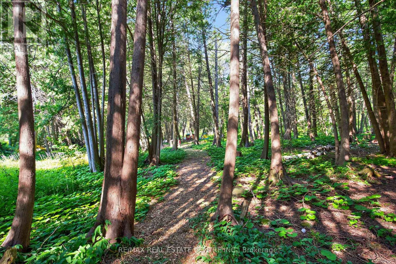 RD - 16 CEDAR LANE, Mono, Ontario, L9W6C8 — Photo 36