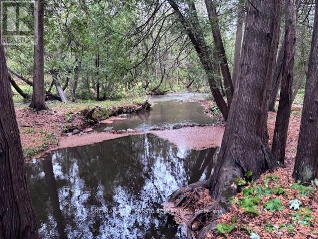 RD - 16 CEDAR LANE, Mono, Ontario, L9W6C8 — Photo 38