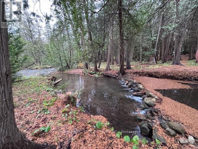 RD - 16 CEDAR LANE, Mono, Ontario, L9W6C8 — Photo 39