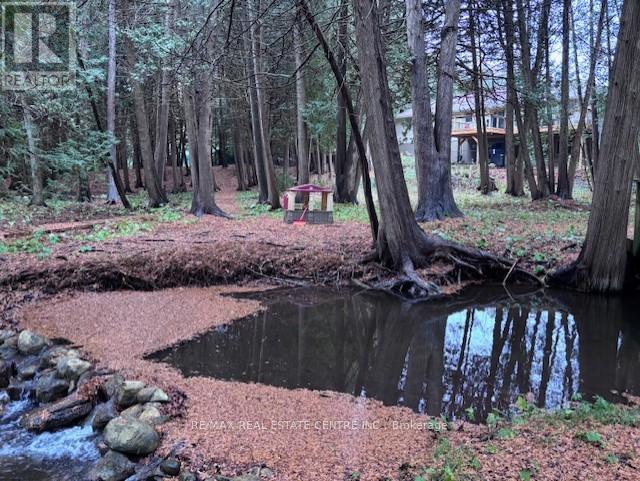 RD - 16 CEDAR LANE, Mono, Ontario, L9W6C8 — Photo 40